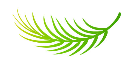 coconut leaves, coconut palm leaf, coconut branchのイラスト素材