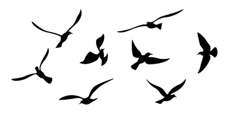 Flying Bird icon, Flock of Flying Birds, Seagull, Silhouette Flying of Seagull Bird, Flying Gull, Bird Symbol, Seagull Flockのイラスト素材
