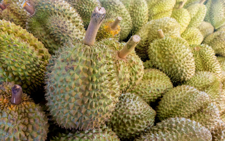durian, a large pile of durian, fresh durians stacked together, durian tropical fruit market...