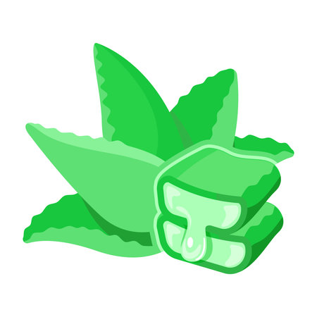 Aloe vera plant with fresh green leaves. illustration Aloe vera for used in skincare, health, and beauty products. Perfect for aloe vera-themed organic designsのイラスト素材