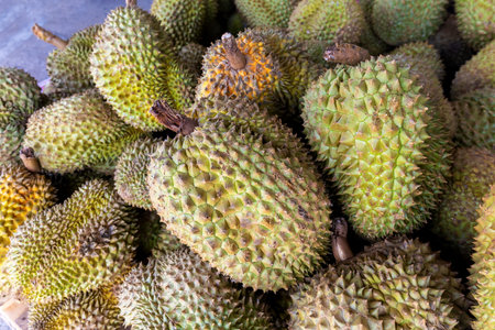 durian, a large pile of durian, fresh durians stacked together, durian tropical fruit market...