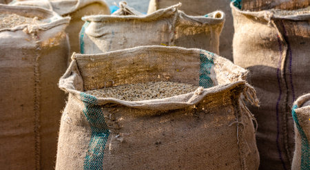 Rice Grain in Burlap Sack, Freshly harvested rice grain stored in burlap sacks at a farm, showing traditional agriculture, crop storage, and rural productionの写真素材