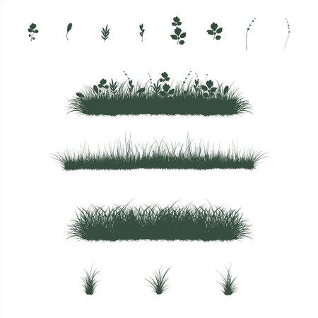 Set of grass and herbsのイラスト素材