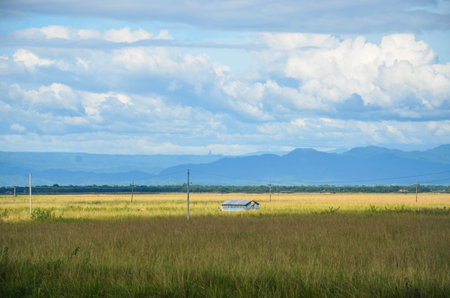 A View of a sunny day and a tiny valley in the rape rice field, White cloud valley on the blue skyの写真素材