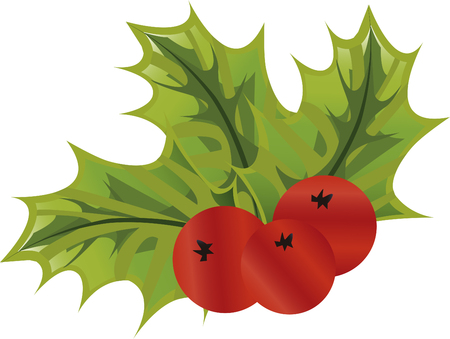 Mistletoe plant characteristic of Christmas and romanceのイラスト素材