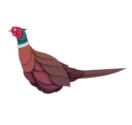 Abstract pheasant bird isolated on white background. Creative 3d concept in cartoon craft paper cut style. Colorful minimal design character. Modern geometric vector illustration.のイラスト素材