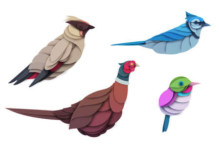 Set of abstract birds isolated on white background. Blue jay, pheasant, cuban tody, waxwing. Creative 3d concept in cartoon craft paper cut style. Colorful minimal character. Vector illustration.の写真素材