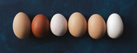 Organic brown free range eggs in row for banner chicken egg image.の写真素材