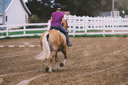 English show practice, rider on horseback shows horse in motion toward jump.の写真素材