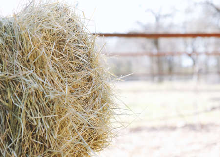 Close-up of coastal hay bale and blurred backgroundの写真素材