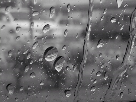 A stare out of the windowの素材
