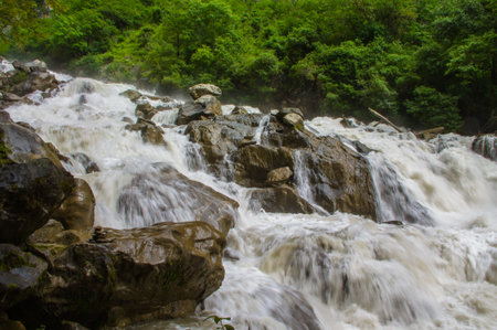 stream water in countryside