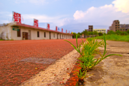 Grass at trackの写真素材