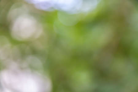 green bokeh background,green bokeh,green bokeh abstractの写真素材