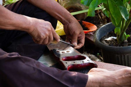 old man sharpening old saw tooth with the file, manual process.の写真素材