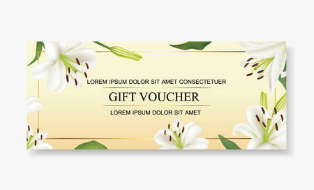 Vector illustration,Gift voucher template beautiful white lily Flower.のイラスト素材