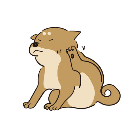 Shiba Inu scratching his head with his hind legsのイラスト素材