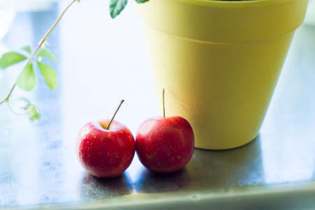 appleの写真素材