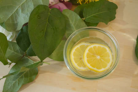 lemonの写真素材