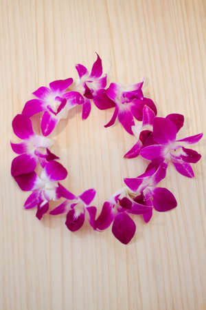 tropical flowerの写真素材