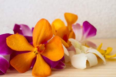 tropical flower on a wood table.の写真素材