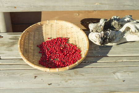 red beans in basket on wood chair.の写真素材