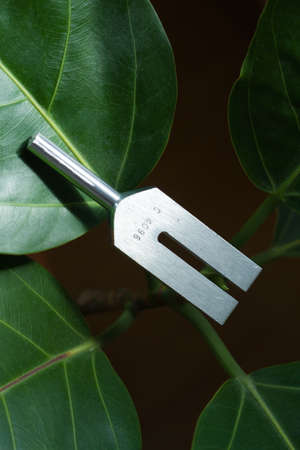 tuning fork and crystal on leaf.の写真素材