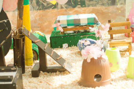 white mouse in house outdoor landscape .の写真素材