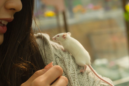 white mouse in house outdoor landscape .