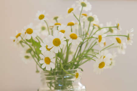 White flowers in a clear glass vaseの写真素材