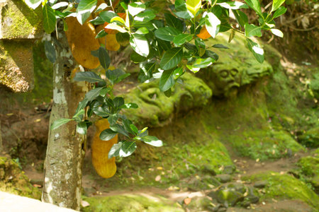 Bali Indonesia In Outdoor Landscape.