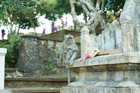 Bali Indonesia In Outdoor Landscape.の写真素材