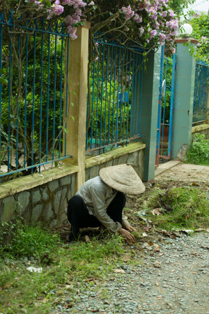 a picture of the in vietnam city outdoor landscape.