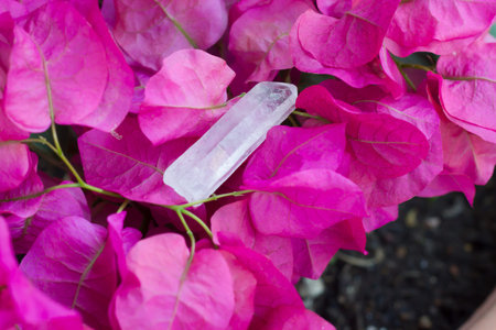 Healing crystal stone and green.の写真素材