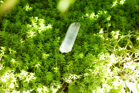 Healing crystal stone and green.の写真素材