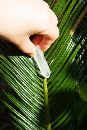 Healing crystal stone and green.の写真素材