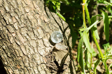Healing crystal stone green.の写真素材