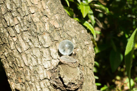 Healing crystal stone green.の写真素材