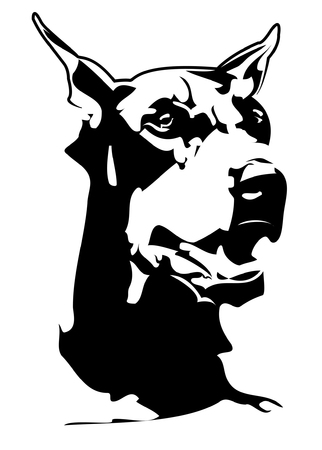 black doberman head with white backgroundのイラスト素材