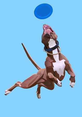dog jumpes for a disc at the sky backgroundのイラスト素材