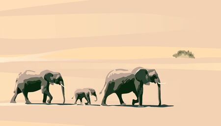 family of elephants on a background of yellow sandのイラスト素材
