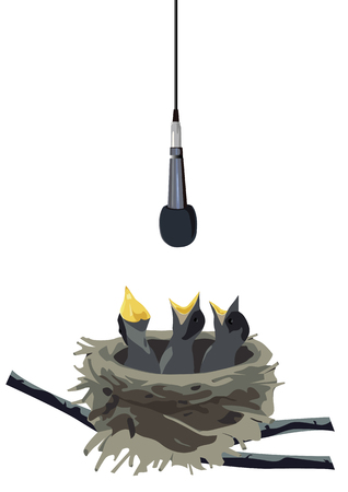 These nestling will become singers onceのイラスト素材