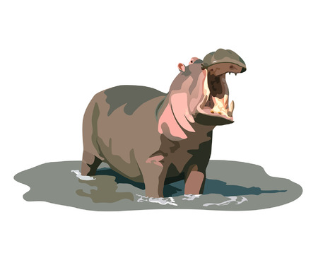 Angry hippo standing in waterのイラスト素材