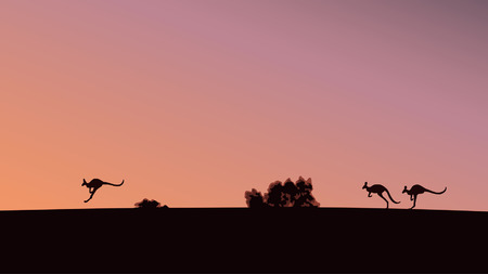 Kangaroos on the sunset backgroundのイラスト素材