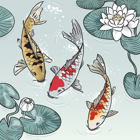 Three koi-fish among water-lilysのイラスト素材