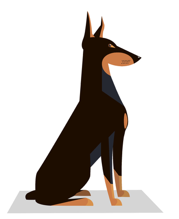 Doberman sits on a white background, minimalistic imageのイラスト素材