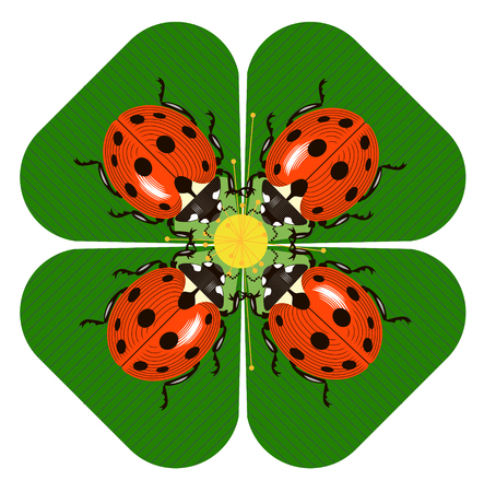 Ladybugs collect pollen from plantsのイラスト素材