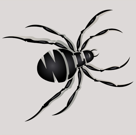 Abstract image of spider on a gray background, font compositionのイラスト素材