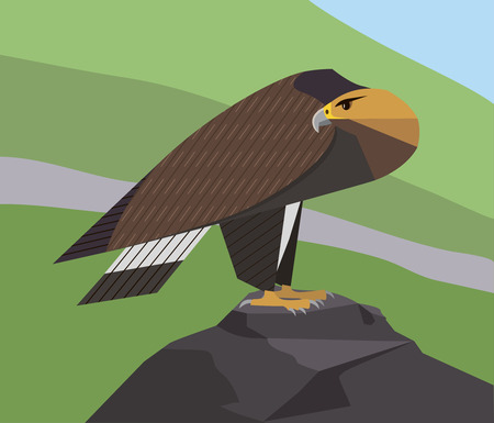 Golden Eagle is sitting on a rock and is vigilantly looking around on a green mountains background, minimalist imageのイラスト素材