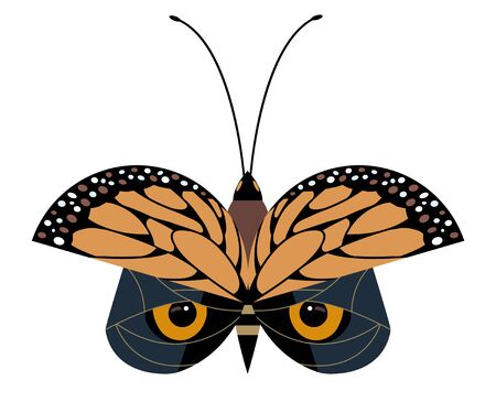 Butterfly protective coloring on wings imitates an owlのイラスト素材